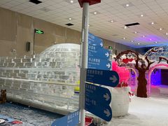 -宁波冰雪大世界(北仑区)