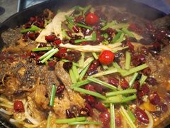 -老板恋上鱼(恒隆广场店)