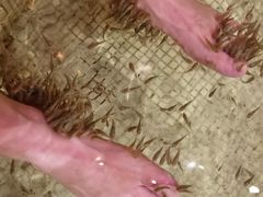 -汉拿山温泉度假酒店