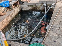 -北京龙庆四季香农家饭庄·灶台鱼·碳烤虹鳟鱼(龙庆峡店)