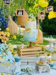 -Aimee'sCake婚礼甜品台·企业商务茶歇