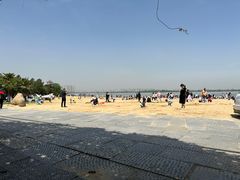 -瑶湖郊野森林公园