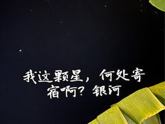 -Torch Coffee 炬点咖啡