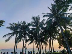 -深圳湾公园(南山区)