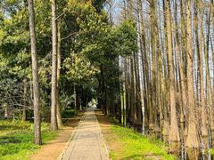 -东湖落雁景区