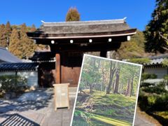 -西芳寺(苔寺)