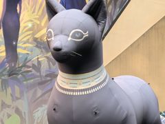 -西安电影制片厂