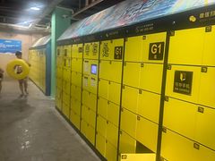 -重庆海昌加勒比海水世界