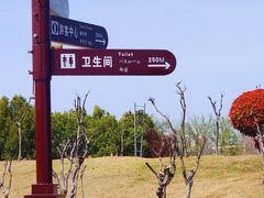 -沙澧河风景区