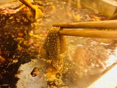 德庄毛肚-山城年华老火锅(玉林店)