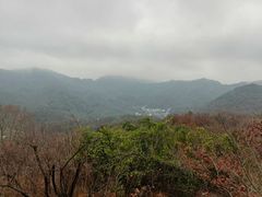 -中国茶叶博物馆(双峰馆区)