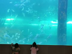 -洛阳龙门海洋馆