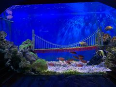 -太平洋海底世界