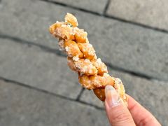 -海丝金凤(金鱼店)