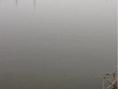 upload_pic-同銮特种养殖场·龙虾垂钓