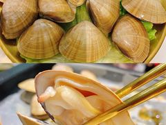 丹东大黄蚬子-八乔煎肉馆·丹东特色煎锅(梅林店)