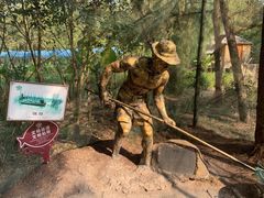 -北海金海湾红树林生态旅游区