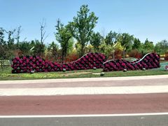 -武清南湖绿博园