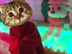 -白鹿仓冰雪海洋世界