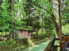 -青城甲(青城山店)