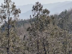 -阳台山自然风景区