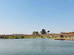 -上海海湾国家森林公园