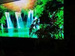 -鸽子侯·家宴·平价海鲜(市图书馆店)
