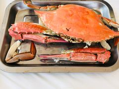 螃蟹-渔民船说·北塘海鲜·天津菜·海肠捞饭(北塘古镇店)
