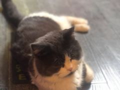 -机械师超级密室(小寨华旗店)