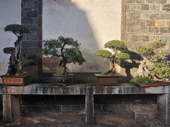 -朱家花园