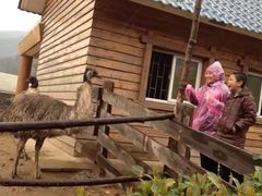 -无锡动物园·太湖欢乐园