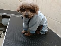 -美联众合动物医院·24h京西诊疗中心