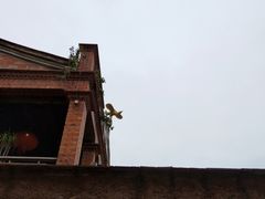 -晋江五店市传统文化旅游区