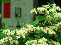 -行人小筑·茶馆(岑村火炉山分店)