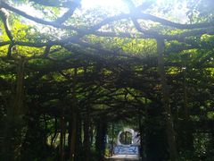 -广西壮族自治区药用植物园