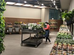 -鹿岛会员店 (龙湖三千集天街店)