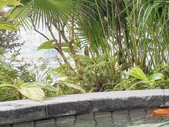 -海兰云天度假区温泉