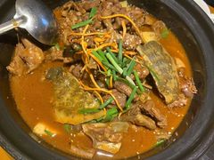 -状元甲·湖北甲鱼大王(汉口火车站店)