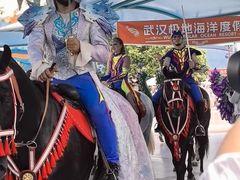 -海合安武汉极地海洋公园
