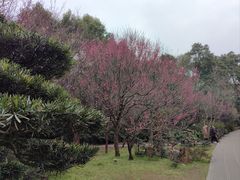 -成都杜甫草堂博物馆