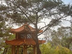 -榴花公园