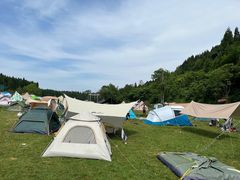 -武陵山森林公园