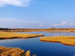 -塞罕坝国家级自然保护区