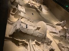 -洛阳周王城天子驾六博物馆