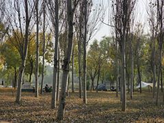 -东郊湿地公园