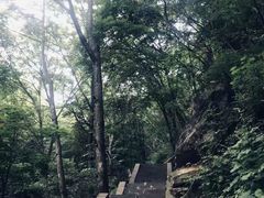 -洛阳白云山景区