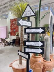 -好看加白色房子