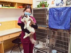 -中农大我爱我爱动物医院·核磁CT·猫病·24小时夜诊中心(石佛营店)