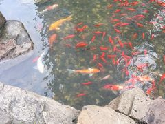 -苏州环球188国际公寓(金鸡湖店)