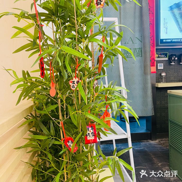 南京江浦龙湖墨蘭奶茶 纯茶清香奶味足